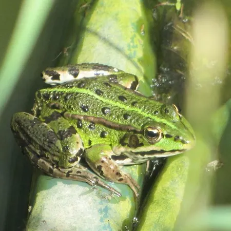 La Cle Des Champs Semesterbostad Grazac (Auvergne)